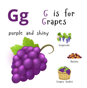 G is for grapes